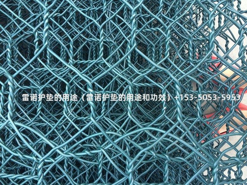 雷诺护垫的用途（雷诺护垫的用途和功效）